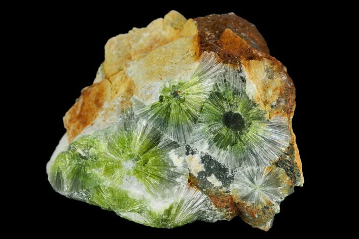 Radiating, Green Wavellite Crystal Aggregation - Arkansas #127110